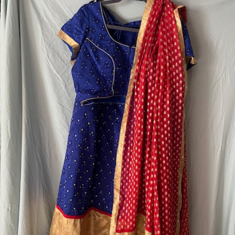 Blue Red Gold Cotton Silk Lehenga Choli w chiffon dupatta Skirt Blouse XL 14 16